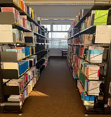 Das Bild zeigt Bücher in unserer Bibliothek 